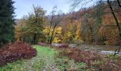 Trail Walking Florenville - Les Epioux 311023 - Photo 2