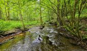 Tocht Stappen Vresse-sur-Semois - Promenade de la Roche à Campa - Orchimont - Photo 6