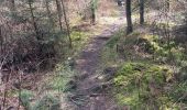 Trail Walking Stavelot - Stavelot- Chemin des source  14 Km - Photo 13