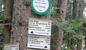 Trail Walking Rombach-le-Franc - Col de Fouchy  - Photo 2