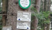 Tour Wandern Deutsch-Rumbach - Col de Fouchy  - Photo 2