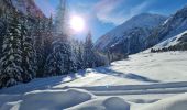 Tour Schneeschuhwandern Pralognan-la-Vanoise - Pralognan Cholière en boucle - Photo 7