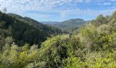 Tour Wandern Belgentier - Barre de Cuers depuis Belgentier - Photo 1