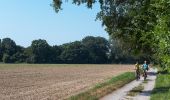 Tour Zu Fuß Unbekannt - Bibergehege-Rundweg (Forsthaus-Rundweg) - Photo 2