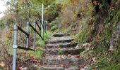 Trail Walking Clervaux - Eislek Pad Clervaux - Photo 19