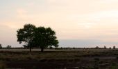 Randonnée A pied Emmen - Trage Tocht Weiteveen - Photo 7