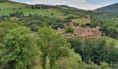 Tocht Stappen Sainte-Croix-en-Jarez - Saint Croix en Jarrez - Photo 11