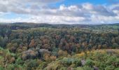 Tocht Stappen Saint-Philbert-sur-Orne - Wikiloc Roche doetre (PVDB) - Photo 12