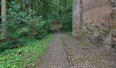 Excursión A pie Rehburg-Loccum - Weg 4 - rot - Wanderung im Loccumer Klosterwald - Photo 10