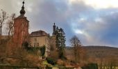 Tour Wandern Viroinval - Balade dans le Viroinval - De Vierves à Olloy - Photo 5