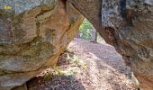 Randonnée Marche Fontainebleau - Sentier Denecourt 1 - Photo 1