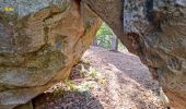 Trail Walking Fontainebleau - Sentier Denecourt 1 - Photo 1