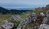 Trail Walking Prémanon - col de la porte et de la Dole - Photo 10