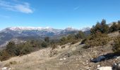 Trail Walking La Mure-Argens - Montagne de Maurel - Photo 2