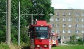 Percorso A piedi Kolkwitz - Wanderweg Cottbus-Calau - Photo 10