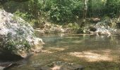 Randonnée Marche Méounes-lès-Montrieux - montrieux gapeau - Photo 3