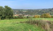 Tour Wandern Tandel - Bettel - Photo 1