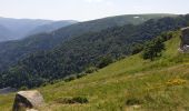 Randonnée Marche Le Valtin - Route des Roches. Schlucht-Hohneck - Photo 6