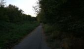 Tocht Stappen Saint-Amand-les-Eaux - Ballade sur le sentier des Sangliers - Photo 1