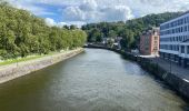 Tour  Jemeppe-sur-Sambre - SPY Ferme de Goyet - NAMUR place St Aubin - Photo 3