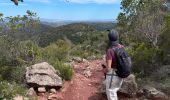 Excursión Senderismo Darnius - Mirador sentinelle Ermitage St Estephe - Photo 1