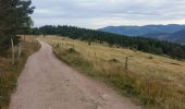 Excursión Bici de montaña Orbey - Les Balcons d'Orbey (version courte) - Photo 4