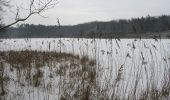 Tour Zu Fuß Glücksburg - Wanderweg in Glücksburg - Photo 2