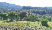 Excursión Senderismo Roquebrune-sur-Argens - La Bouverie - Gorges du Blavet - Grotte du Muéron - Photo 8