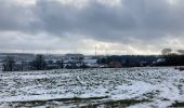 Randonnée Marche Yvoir - Durnal / 2021-01-17 / 29 km - Photo 17