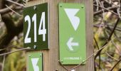 Trail Walking Eupen - 20250224 - Eupen 7.4 Km - Photo 13