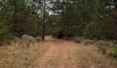 Tour Wandern La Vacquerie-et-Saint-Martin-de-Castries - GR7 St Guilhem le Désert! - Photo 12