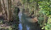 Tour Wandern Seneffe - BE-Seneffe - Petit Moulin - Ancien canal - Ecluses 20 et 19 - Photo 19