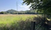 Tour Wandern Châtelet - GR 1666 partie 2 - Châtelet Roux 35 km - Photo 13