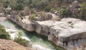 Excursión Senderismo Zonza - balade qui monte beaucoup mais belle - Photo 6