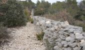 Trail Walking Cabrières-d'Avignon - PF-Cabrières-d'Avignon - Le mur de la Peste - Photo 4