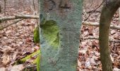 Tour Zu Fuß Unbekannt - DE-SAV Rotes Hufeisen, Stroheiche - Weilimdorf? - Photo 8