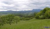 Tocht Stappen Gigors-et-Lozeron - Gigors - Saint-Supière - Photo 10