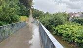 Randonnée Marche Audenarde - Audenarde Oudenaarde 11,6 km - Photo 10