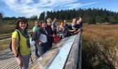 Tocht Stappen Malmedy - Balade Fagnes guidée - Photo 4