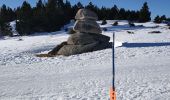 Tocht Sneeuwschoenen Font-Romeu-Odeillo-Via - Autour du refuge de La Calme  - Photo 2