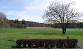 Tour Zu Fuß Küsnacht - Forch - Rehalp - Photo 2