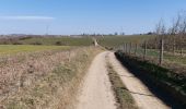 Percorso Marcia Ciney - Achene 110322 - Photo 9
