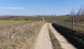 Trail Walking Ciney - Achene 110322 - Photo 9