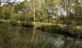 Tour Wandern Saint-Céneri-le-Gérei - Saint ceneri - Photo 17