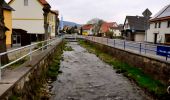 Tocht Te voet Geratal - Thüringer Klimaweg Geraberg - Photo 9