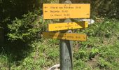 Tocht Stappen Tignes - Nazonde par la forêt  - Photo 5