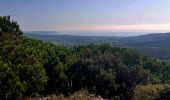 Trail Mountain bike Ramatuelle - VTT Mataranne - Paillas - Gassin - St Tropez - Photo 8