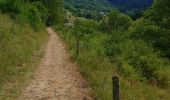 Trail Walking Saint-Pierre-d'Entremont - Saint Pierre d'Entremont (Isère) Cirque de Saint Même  - Photo 8