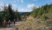 Tour Nordic Walking Les Plans - Col du Perthus Plateau de Grézac - Photo 5