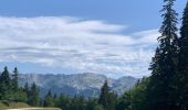 Tour Wandern Autrans-Méaudre en Vercors - Gros Marcel - Photo 2